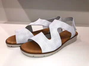EMBOLDEN WHITE