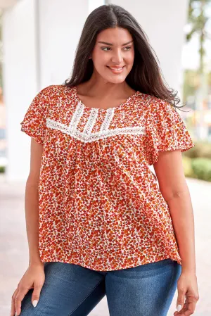 Lace Trim Plus Ruffle Sleeve Blouse