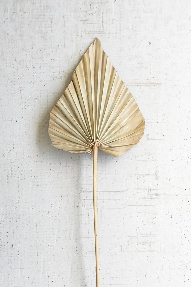 Large Natural Palm Spear (Pack of 12)