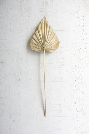 Large Natural Palm Spear (Pack of 12)
