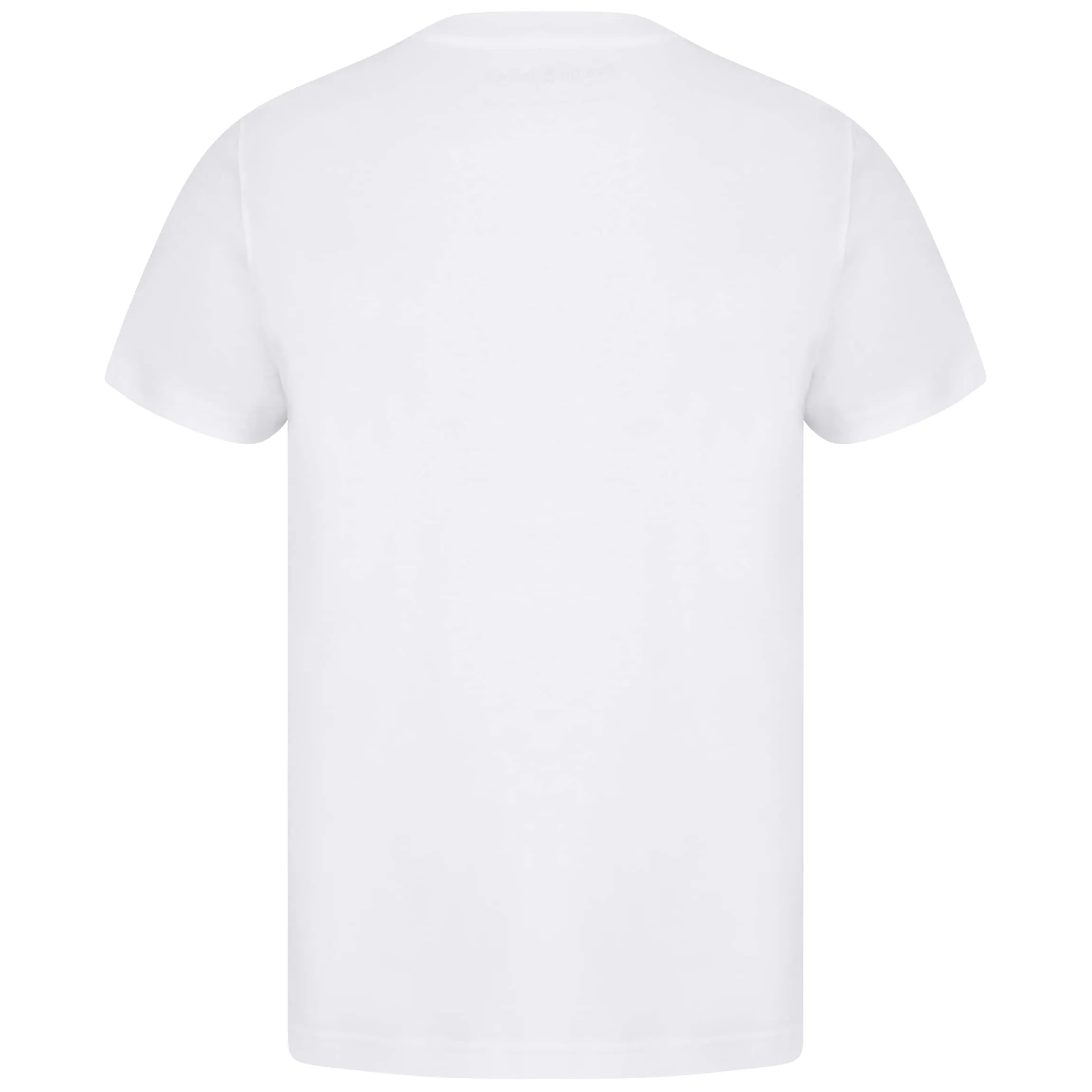 PSYCHO BUNNY PISANI GRAPHIC T-SHIRT