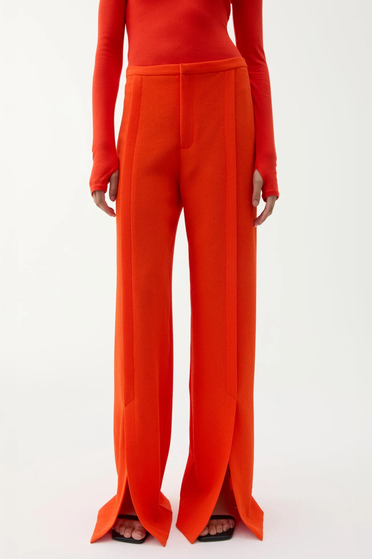 RUBIN PANT