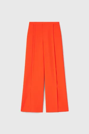 RUBIN PANT
