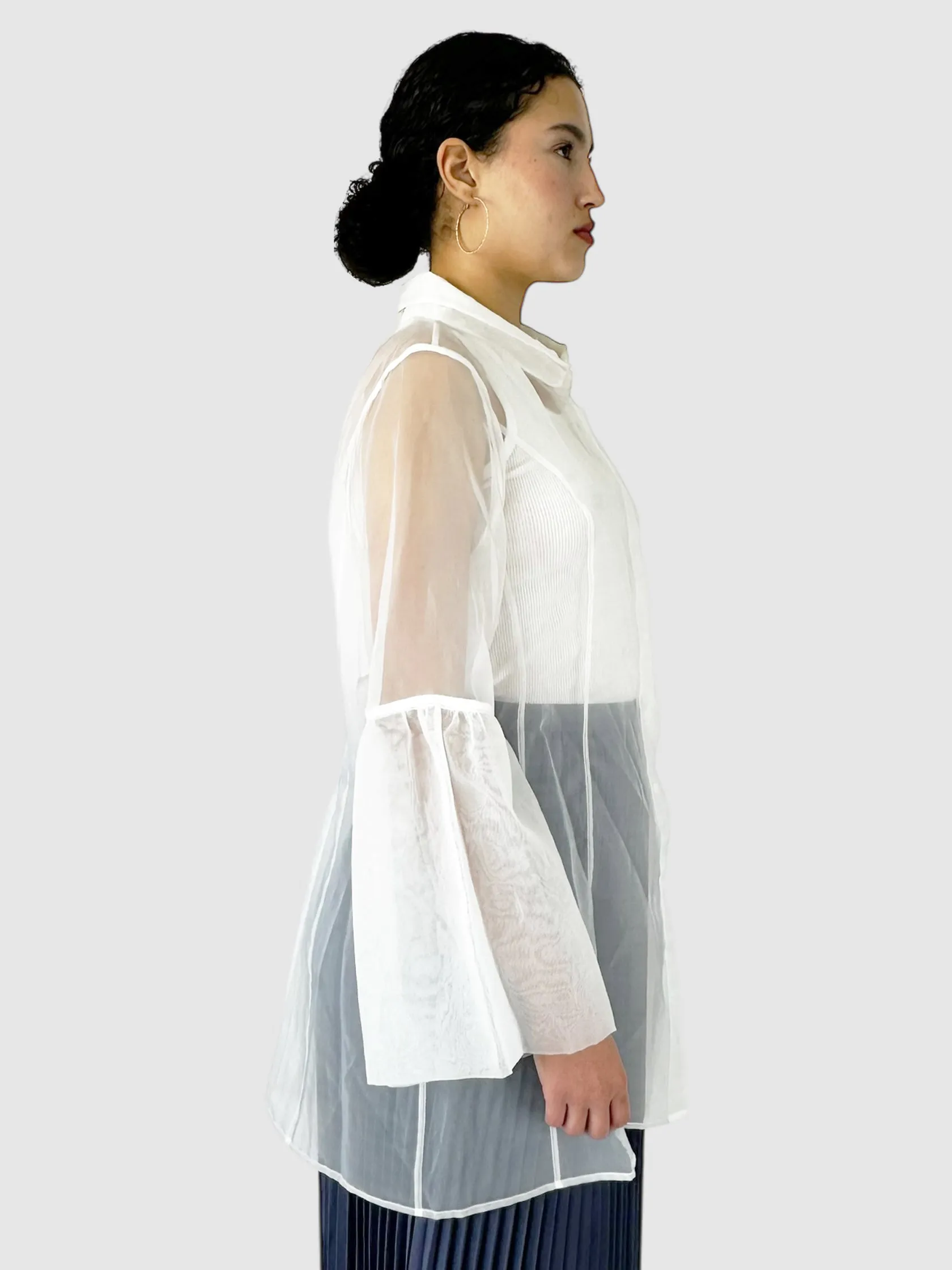 Sheer Button-Up Top