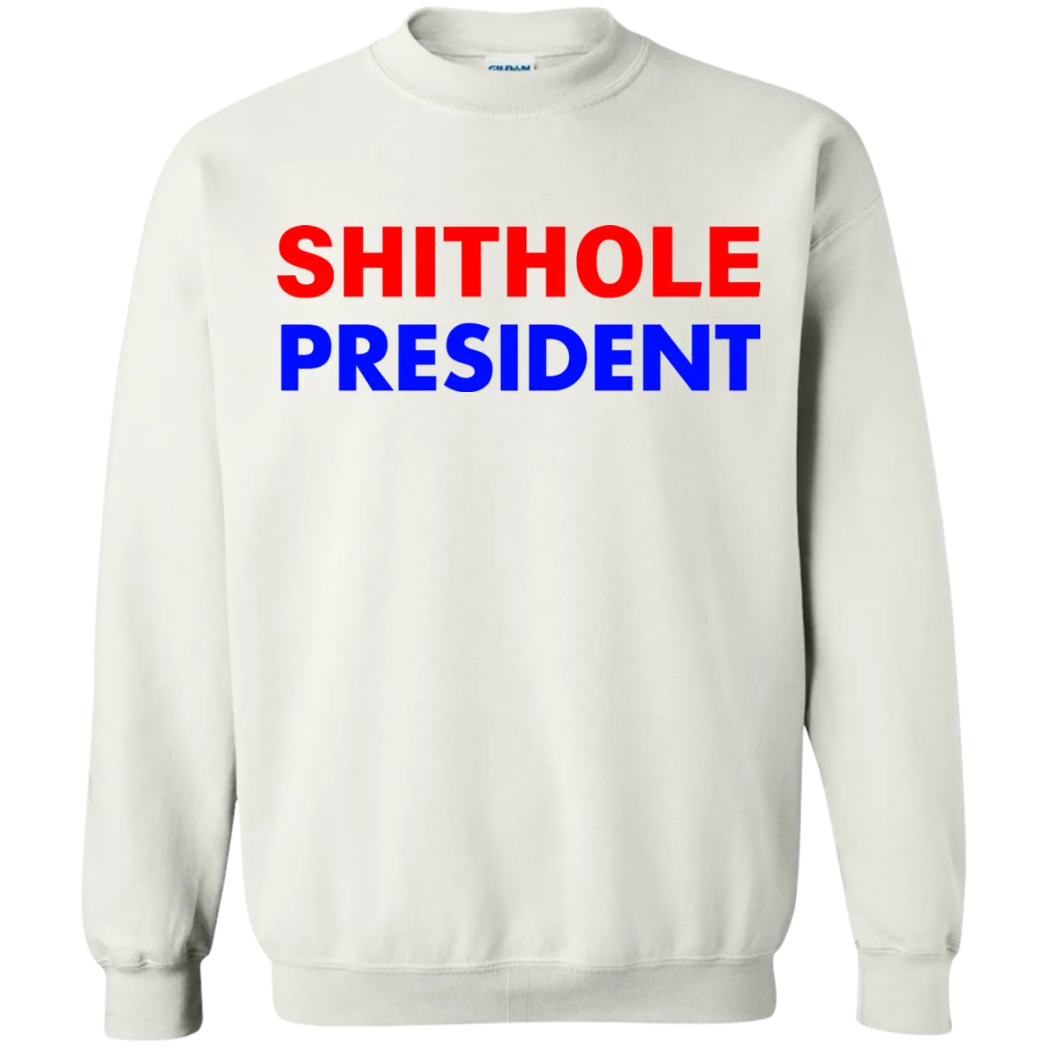 Shithole President Shithole Trump shirt