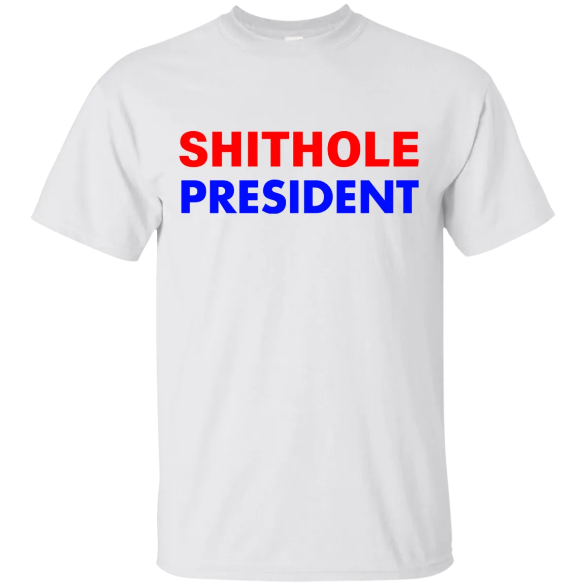Shithole President Shithole Trump shirt