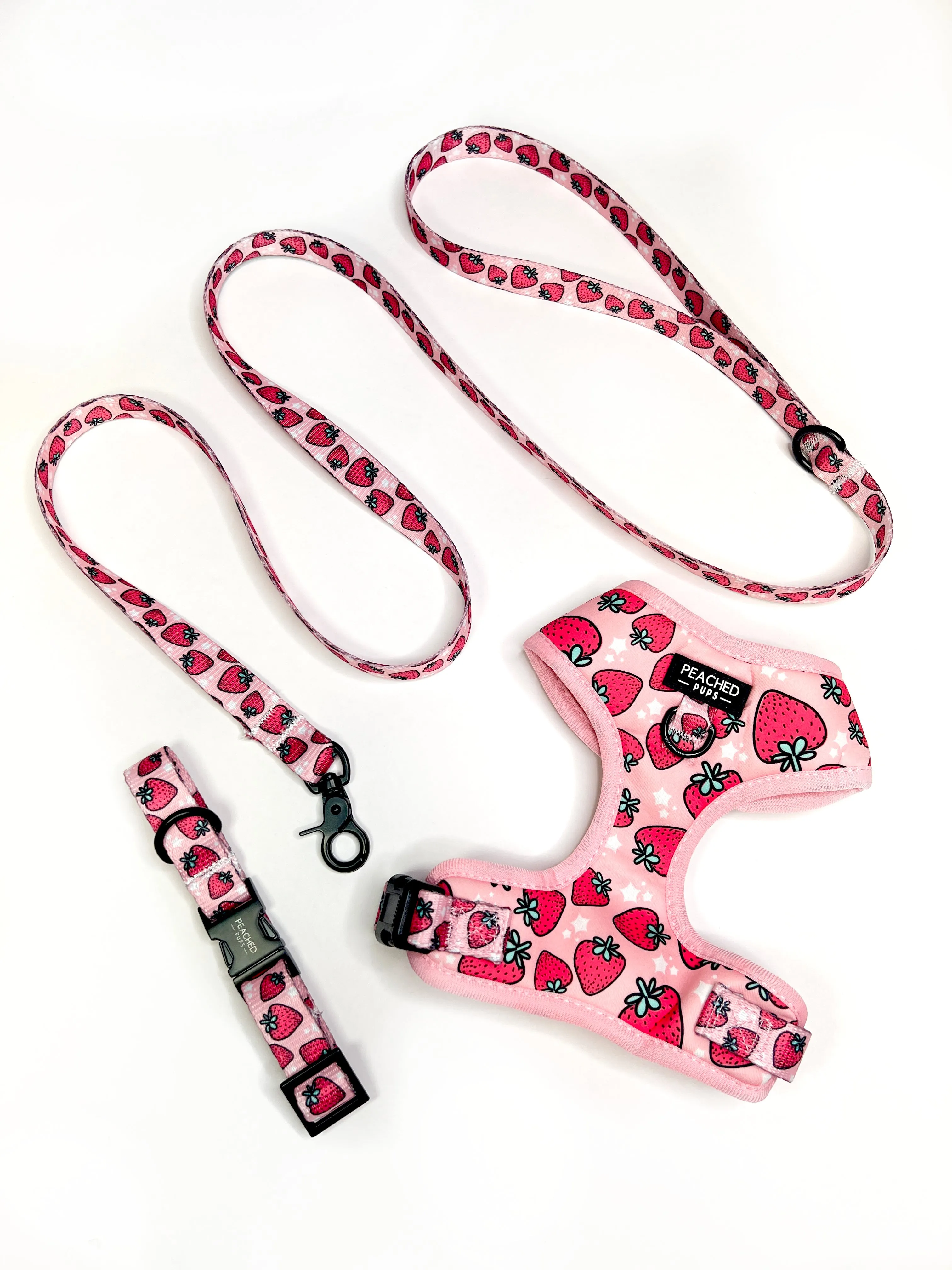 Strawberry Fields Collar